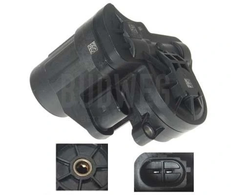 Control Element, parking brake caliper